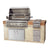 Luxor 42" Built In Natural Gas Grill w/ Smoker Box & Conventional Burners AHT-42CV-BI-NG